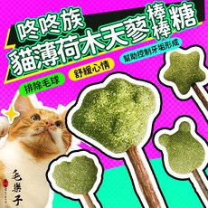 毛樂子寵物【咚咚族】貓薄荷木天蓼棒棒糖 貓玩具 木天蓼 貓咪木天蓼 貓薄荷棒棒糖 紓壓棒棒糖, 1個, 貓薄荷木天蓼
