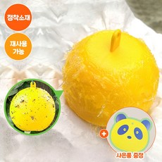 [MSMULTIVERSE] 어머 깜짝이야 작지만 확실한 효과 초강력 야외 과실나무 캠핑 야외활동 끈끈이 퇴치 트랩 3+사은품, 6개입