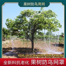 good 網櫻桃樹枇杷樹嘉寶樹防鳥網罩尼龍網葡萄網果園防護網罩新款, 1個