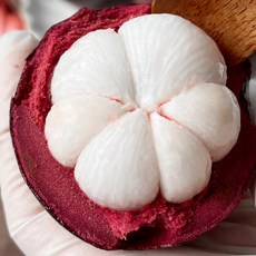 항공직송 생 망고스틴 신선 달콤 프림미엄 열대과일, 1개, 500g