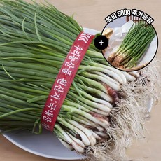 야채삼촌 전라도 흙쪽파 1단 (1kg 내외), 1kg, 1개