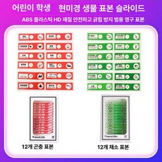 프레파라트 48종 표본 실험도구 식물 현미경 체험, 24장 곤충 야채, 기본 색상