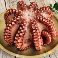 삼시세끼연구소 최상품 자숙 돌문어 제수용 문어, 1.9kg, 1개