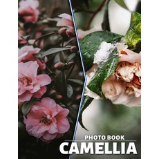 (영문도서) Camellia Photo Book: Stunning Floral Images Featuring Camellia Blooms For Natur... Paperback, Independently Published, English, 9798302913241