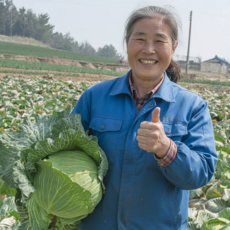 산지직송 강원도 평창 양배추, 2개, 2kg
