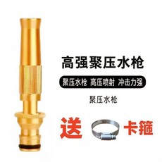 家用高壓水槍頭 澆花澆菜多功能洗車噴頭, N/A, 聚壓水槍+卡箍1個, N/A