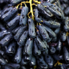 [당도보장] 최고품질 호텔납품급 극Brix 블랙사파이어포도, 1박스, 1kg