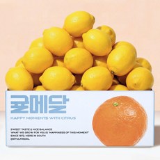 [산지직송] 무왁스 제주 레몬, 1박스, 2kg, 혼합과(M-L)