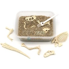 (SA) 공룡 뼈 퍼즐 조각 맞추기 (1인)