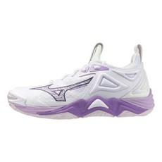 Mizuno Wave Momentum 3 女排球鞋 室內運動 緩震 美津濃 V1GC231210, 1個, 25.5 CM