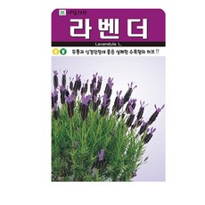 아람종묘 허브 라벤더 씨앗 100립, 1개 1개