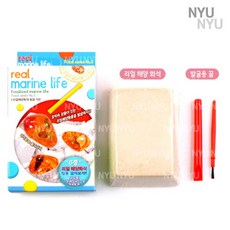 리얼 해양화석 발굴키트