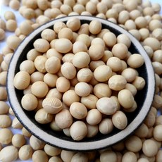 이슬처럼 수입 중국산 백태 1kg 노란콩 메주콩 대두 24년산, 1개