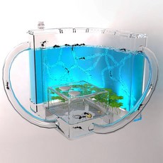 LED 개미집 여왕 개미 키우기 사육장 하우스 만들기 mel+072qS