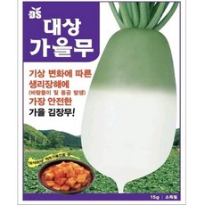 절여도 무르지 않는 아삭한 대상가을무 김장무 씨앗 1200립 바람들이 동공발생 저항성 종자, 1개