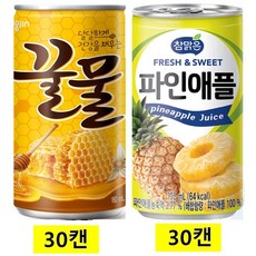 웅진꿀물캔 + 참맑은파인애플캔, 60개, 175ml