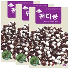 세인화분 팬더콩 30g, 3개