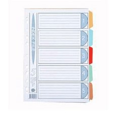 인덱스분류화일SV-PP 5분류 아톰F207 chl+581VO