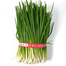 [당일작업]해풍맞고 자란 깐쪽파, 1개, 900g