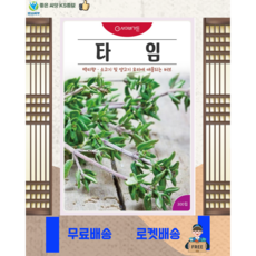타임 씨앗 (300립) 백리향 허브 꽃 관상 약용 차 종묘 종자 씨 영웅 KS, 1개
