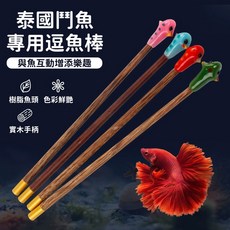 泰國鬥魚逗魚棒 樹脂魚頭實木手柄 水族箱裝飾, 1個