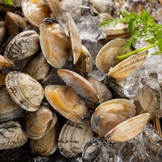 냉동 바지락 500g x 2팩 4팩 (손질 해감 세척 완료)