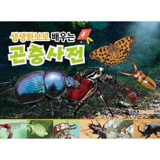 생생화보로 배우는 곤충사전, 콘텐츠랩(저), 굿키즈BOOKS, 콘텐츠랩