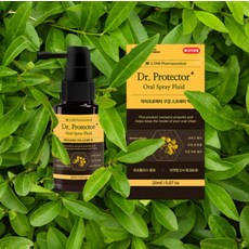 먹는 가글 구취 치석 입냄새 제거 휴대용 가글 세정제 청결제