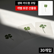 케이비지리테일 에버그린 네잎클로버 생화 코팅 카드 선물용 행운 응원 합격 기원, 30개, 투명색 카드