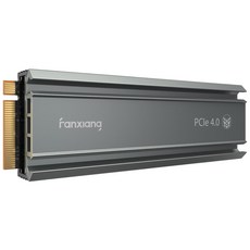 Fanxiang S660 M.2 ps5 ssd 히트싱크 NVMe방열판, 500GB
