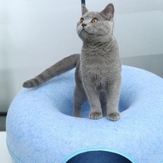 도매왕 SFr 펠트 도넛 숨숨집 L 블루 고양이 쿠션하우스, 단품