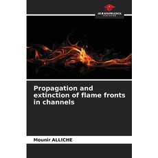 (英文圖書)Propagation and extinction of flame fronts in channels 平裝版, Our Knowledge Publishing, 英文