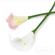 동동생활용품 카라 조화 성묘조화카라 거실꾸미기조화카라, 화이트