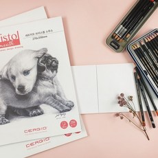 세르지오 브리스톨 스무스 패드 250g 20매 스케치북 미술용지, A4, 1개