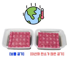 환경교육 지구온난화 온실효과실험(막대온도계), 1개