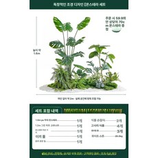 인조 미니정원 소품 플랜테리어 조화나무 조경 장식용, 높이 PU 거북이 소형 세트