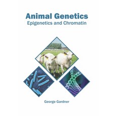 (영문도서) Animal Genetics: Epigenetics and Chromatin Hardcover, Syrawood Publishing House, English, 9781682867822