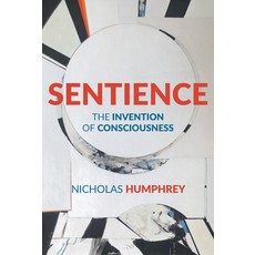 (영문도서) Sentience: The Invention of Consciousness Paperback, MIT Press, English, 9780262548311