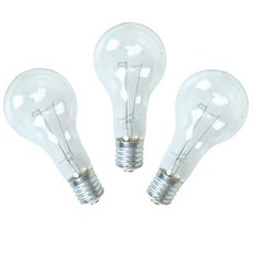 포커스 백열전구 투명 백열고촉램프 300W 20개입, 1개, 전구색