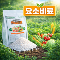 요소 식물성장촉진 비료, 1개, 1kg