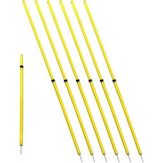 BlueDot Trading Soccer Agility Poles | 1.8m(6피트) 접이식 트레이닝 폴 (8개) 속도 민첩성 야외 게임 및 운동 축구 훈련 장비 잔디, 단일 사이즈, 단일 사이즈