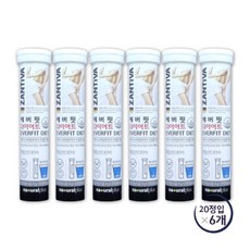 에버핏 다이어트 발포 가르시니아 20정, 6개