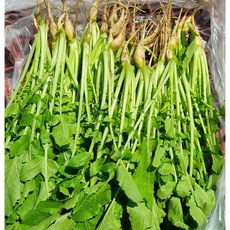 친환경 열무 신선한 아삭한 국내산 어린열무, 1개, 1kg