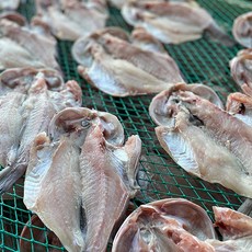국내가공 손질 능성어 해풍건조 제수용생선 20-23cm 찜 구이 반건조생선, 1개, 1.2kg 내외(7미)
