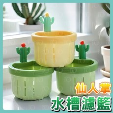 仙人掌水槽過濾籃 廚房水槽過濾網 洗碗槽濾網 防堵防臭防蟲