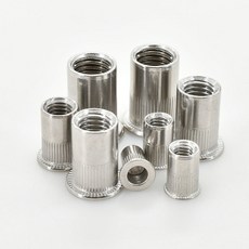 60 100Pcs 플랫 리벳 너트 탄소 스틸 M8 클램프 M6 패널 M5 미터 M4 M3 스테인레스 리브 알루미늄 나사 금속, M3 (60Pcs), 304 Stainless Steel