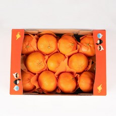 올해 첫 제주 레드향 3kg 서귀포 재배 단단하고 굵은 제철과일, 제주레드향 3kg