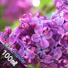E009 라일락블라썸 100ml (Lalic Blossome) 프래그런스오일 캔들 디퓨저 향수, 1개