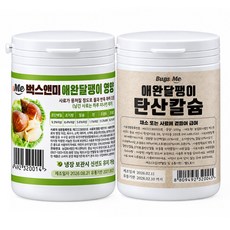 농업회사법인 벅스앤미(주) 벅스앤미 달팽이 영양사료 + 칼슘 모음 세트, 320g, 1세트