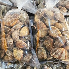 [당일조업] 남해안 활 바지락 깐바지락살, 1개, 활바지락 대 1kg (65-80미)